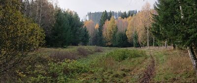 Buková hora ↔ Rozejście szlaków