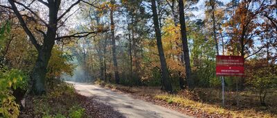 Lubikowo, granica parku krajobrazowego [Granica Pszczewskiego Parku Krajobrazowego w Lubikowie]