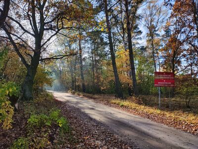 Granica Pszczewskiego Parku Krajobrazowego w Lubikowie