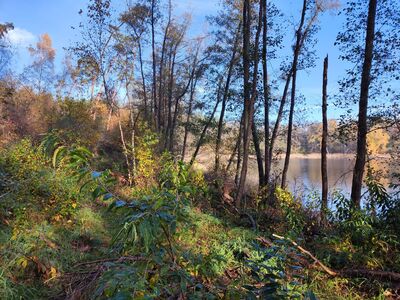 Ścieżka nad Jeziorem Białym