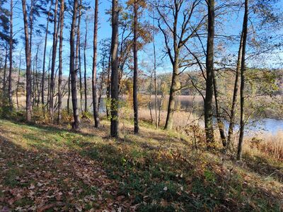 Ścieżka nad Jeziorem Białym