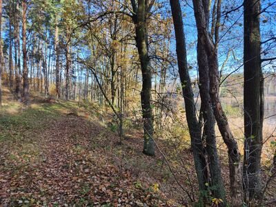 Ścieżka nad Jeziorem Białym