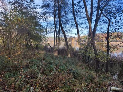 Zarośnięta ścieżka brzegiem Jeziora Białego.