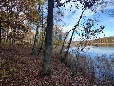 Szlak biegnie brzegiem Jeziora Białego.