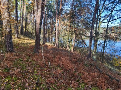 Szlak biegnie brzegiem Jeziora Białego.