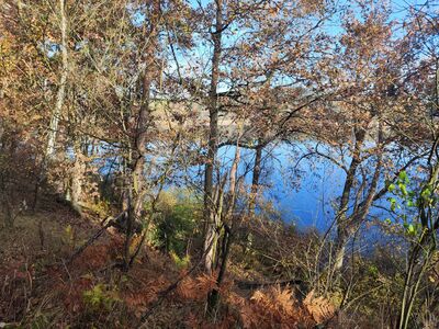 Szlak biegnie brzegiem Jeziora Białego.