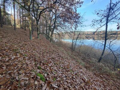 Szlak biegnie brzegiem Jeziora Białego.