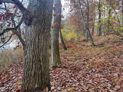Szlak biegnie brzegiem Jeziora Białego.