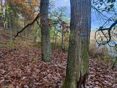 Szlak biegnie brzegiem Jeziora Białego.