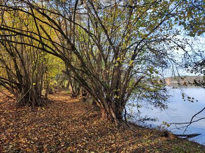 Szlak biegnie brzegiem Jeziora Białego.