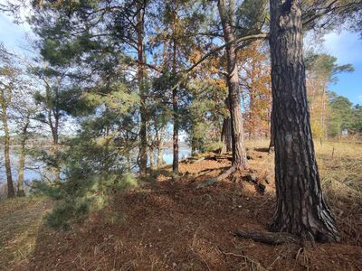 Szlak biegnie brzegiem Jeziora Białego.