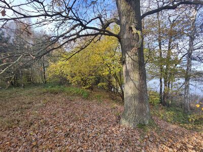 Szlak biegnie brzegiem Jeziora Białego.