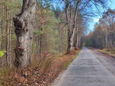 Odcinek betonową drogą