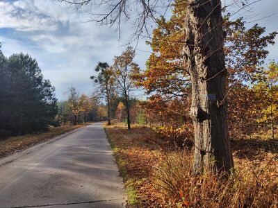 Odcinek betonową drogą