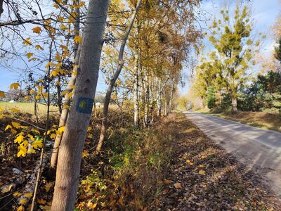 Jeden z nielicznych znaków Drogi św. Jakuba
