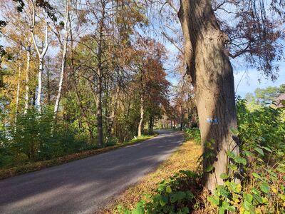 Stare oznaczenia w Pszczewie