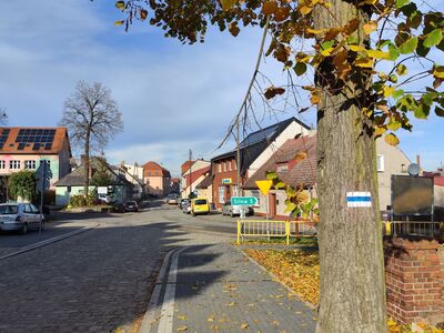 Przy Folwarku Pszczew szlak doczekał się odnowienia