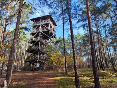 Wieża widokowa nieopodal szlaku