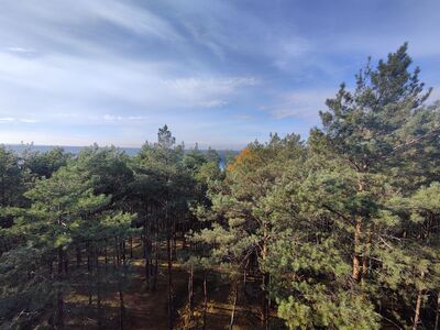 Wieża widokowa z widokiem na Jezioro Chłop