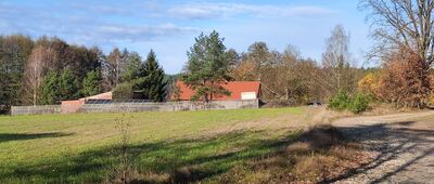 Pszczew ↔ Borowy Młyn [Agroturystyka nad Jeziorem Trzy Tonie]