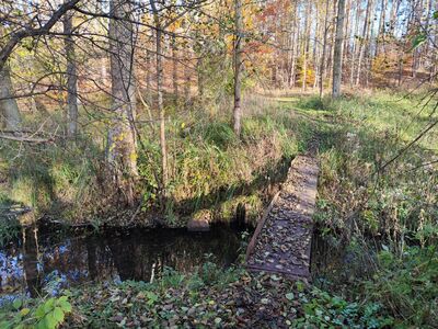 Przesmyk między jeziorami Głębokim a Proboszczowskim