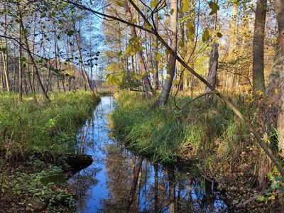 Przesmyk między jeziorami Głębokim a Proboszczowskim