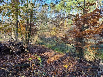 Trudniejszy odcinek szlaku nad Jeziorem Proboszczowskim