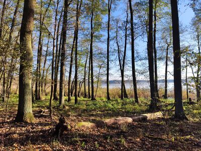 Trudniejszy odcinek szlaku nad Jeziorem Wielkim