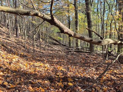 Nieco trudniejszy teren nad Jeziorem Wielkim