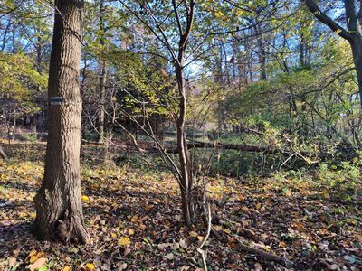 Trudniejszy odcinek szlaku nad Jeziorem Wielkim