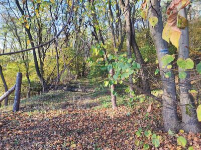 Wejście na szlak w Jabłonce