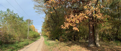 Lubikowo, granica parku krajobrazowego ↔ Rozejście szlaków