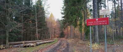 Studzienno, granica parku narodowego