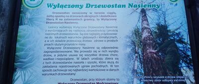 Rozejście szlaków