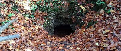 Rozejście pod Jaskinią Rudnicką ↔ Staw Zielony