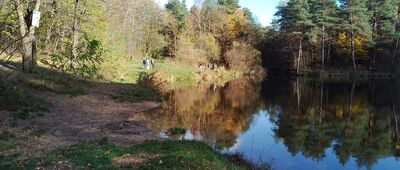 Staw Zielony ↔ Droga pożarowa 62