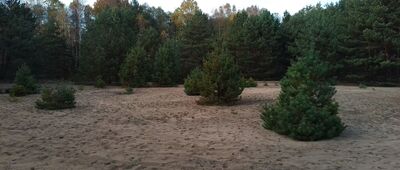 Rozejście szlaków ↔ Rozejście szlaków