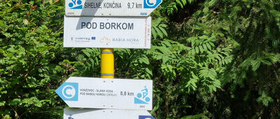 Pod Borkom