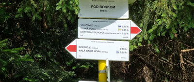 Pod Borkom