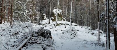 Odejście do skały Żaba ↔ Skalne Grzyby, Rogacz