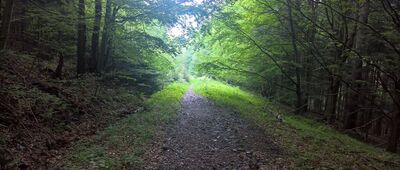 Magura ↔ Rozejście szlaków zielony / czarny