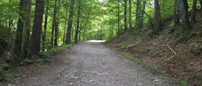 Jaskinia Niedźwiedzia ↔ Gęsia Gardziel