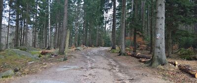 Rozejście szlaków ↔ Rozejście szlaków