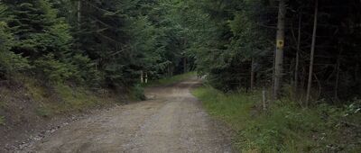 Koszarki ↔ Rozejście szlaków