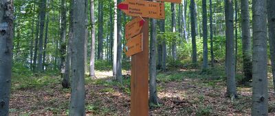 Wierch nad Kamieniem Diabli Kamień