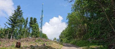 Ruiny schroniska Rudolfsheim ↔ Granica Biskupská kupa / Jarnołtówek