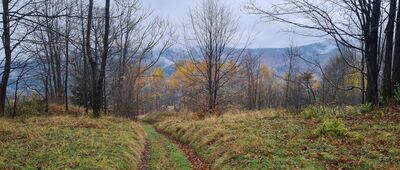 Rozejście szlaków ↔ Stryszawa, Wsiórz