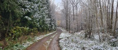 Rozejście szlaków ↔ Rzyki