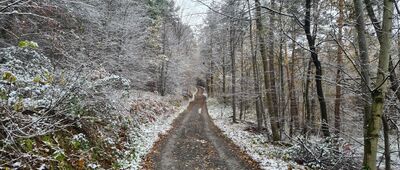 Rozejście szlaków ↔ Rzyki