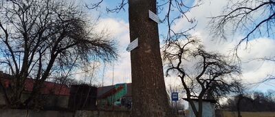 Pietrzyków